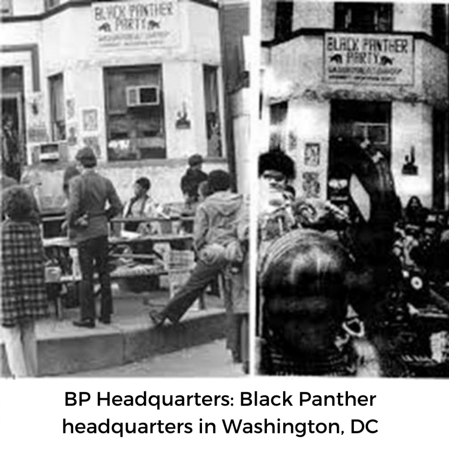 A View From Within: Inside the Black Panther Party - AAIHS