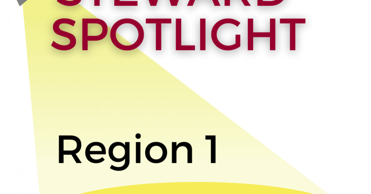 Steward Spotlight: Region 1 | Minnesota Association of Professional ...